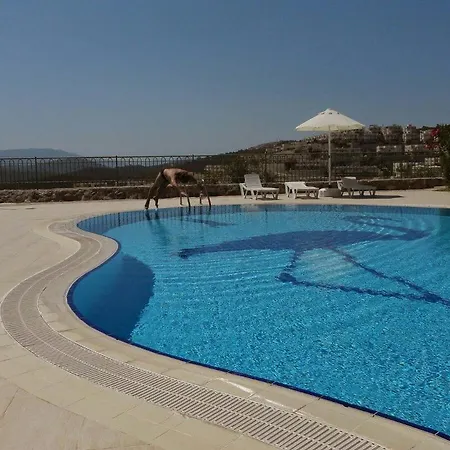 Apartment Flamingo Bogazici